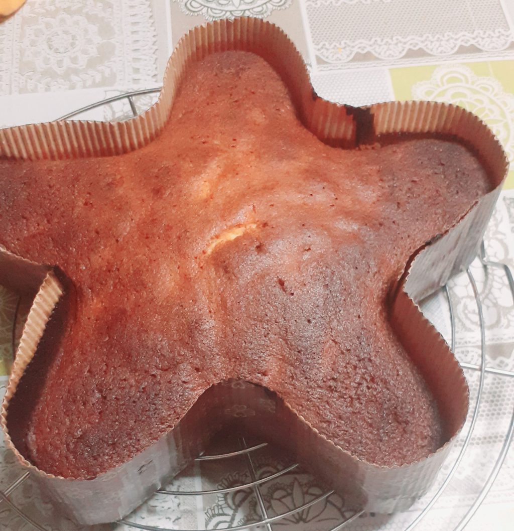 Torta Stella di Natale